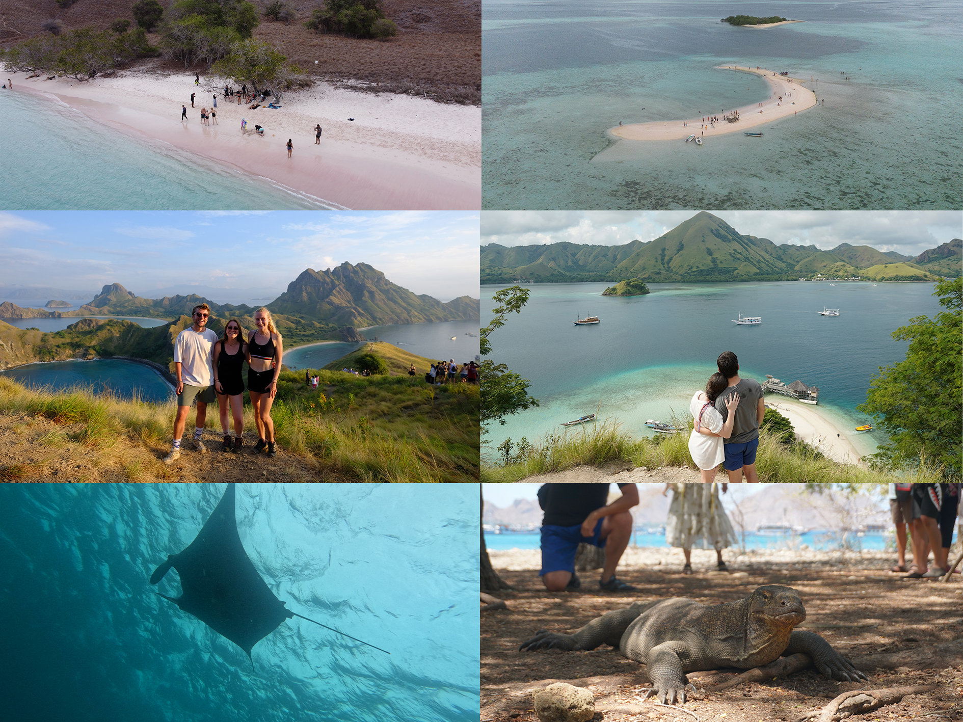 What To Experience Komodo Tour Price