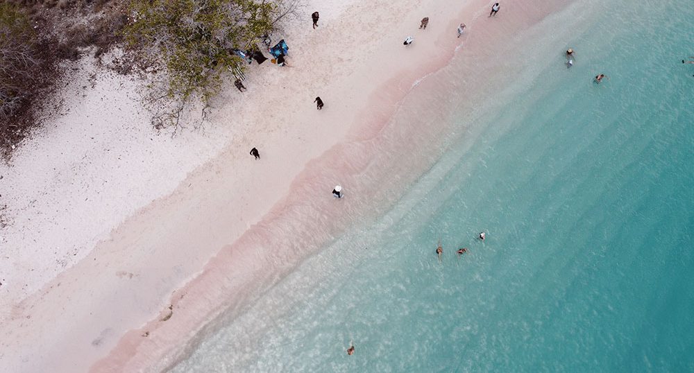 3-Day 2-night Komodo island trip