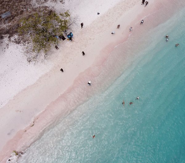 3-Day 2-night Komodo island trip